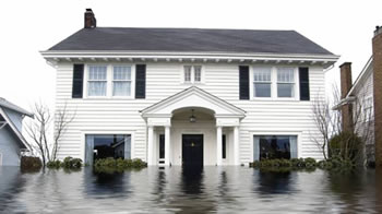 Basement Mold Testing Removal Remediation Inspection Avon Hewitt Leonia Companies Near Me Matawan Millstone Ocean NJ Bathroom