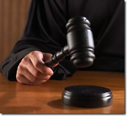 Basement Mold Removal Testing Remediation Inspection Gladstone NJ New Vernon Companies Near Me North Caldwell Harbor High Bridge