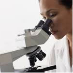 Mold Removal Scotch Plains NJ Mountain Lakes Remediation Companies Near Me Wood Ridge South River