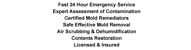 06611 Mold Inspection Trumbull CT Mold Removal 06611 Mold Remediation Trumbull CT Mold Testing 06611 Basement